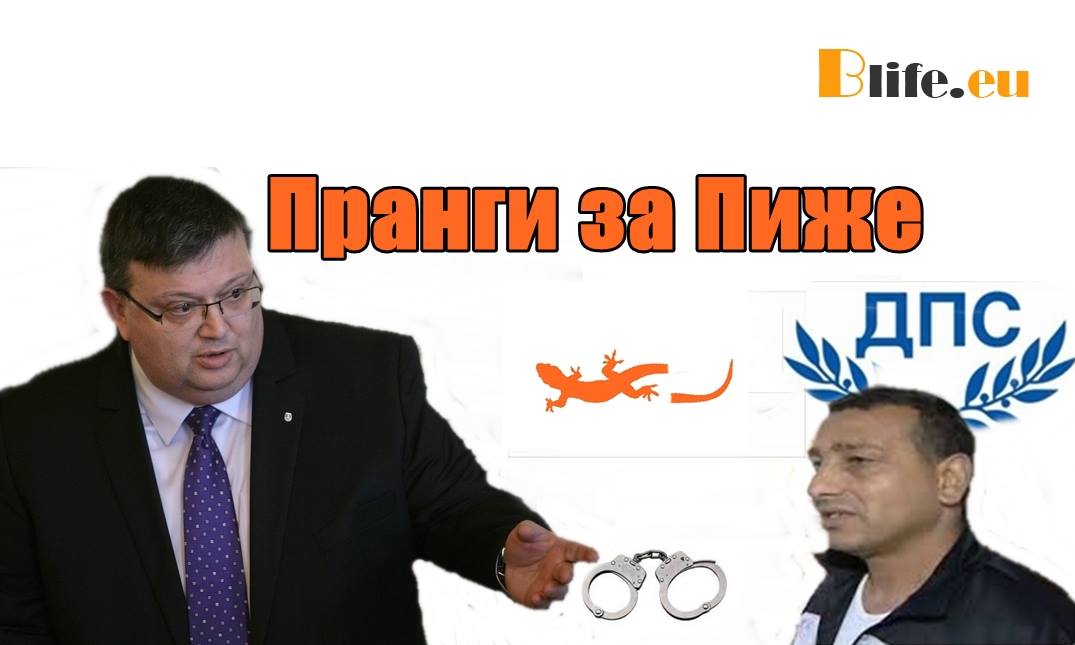 Ще арестуват ли Трайчо Василев