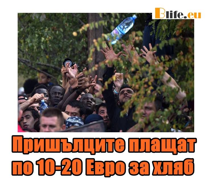 Пришълците плащат по 10-20 Евро за хляб