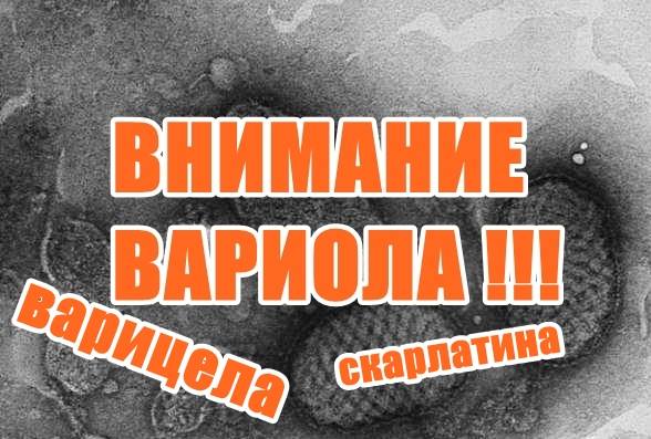 ВНИМАНИЕ ВАРИОЛА !!!