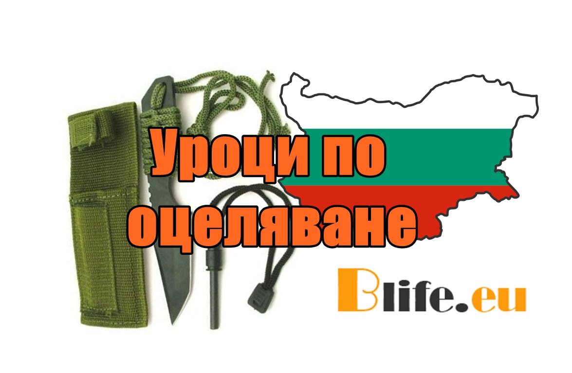 Уроци по оцеляване: "Как до оцелееш в гората: уроци от руските военни разузнавачи"