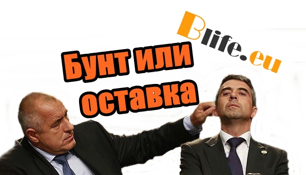 Бунт или оставка +ВИДЕО