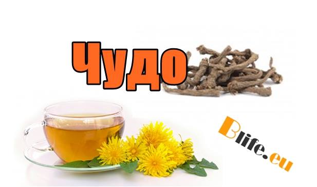 Чудо билка мори рак за 2-3 дни