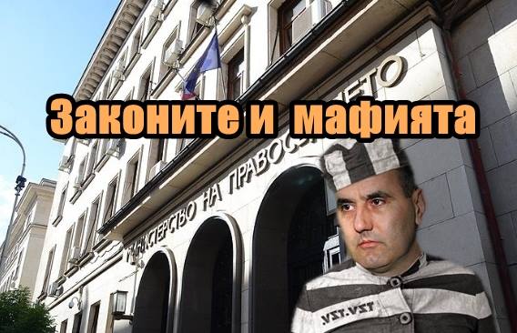 Законите и мафията