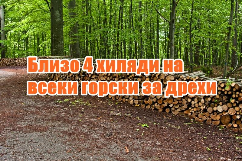 Близо 4 хиляди на всеки горски за дрехи