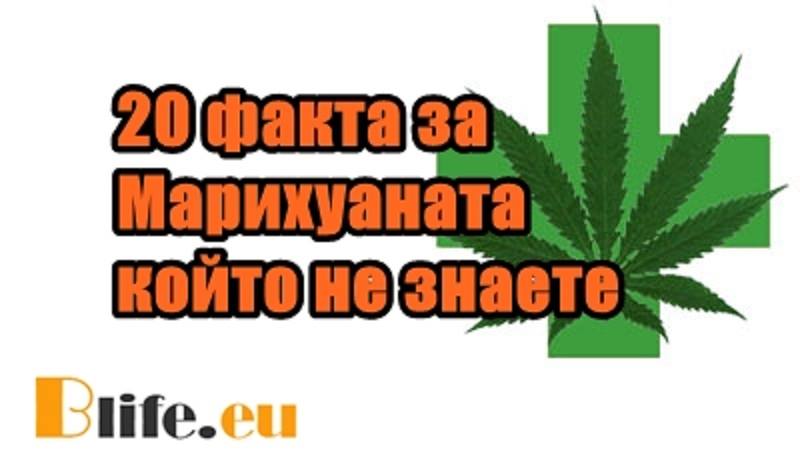 20 факта за Марихуаната, който не знаете