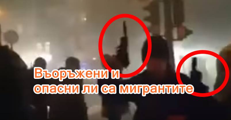 Въоръжени и опасни ли са били мигрантите в новогодишната нощ ?