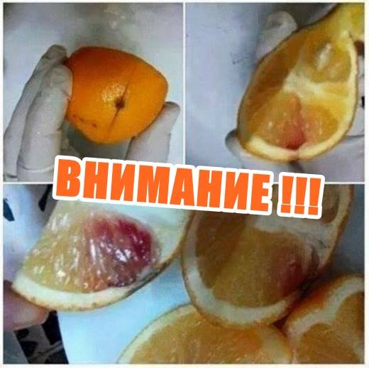 ВНИМАНИЕ !!! СПИН в ПЛОДОВЕТЕ !!!