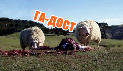 ГА-ДОСТ