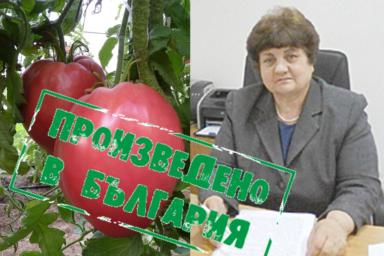 Българско домати