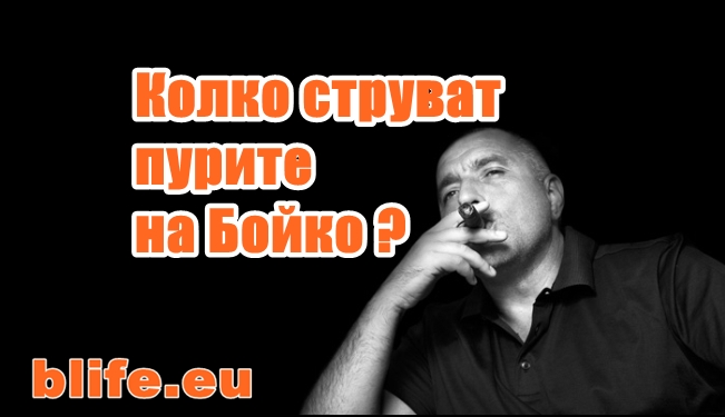 Колко струват пурите на Бойко ?