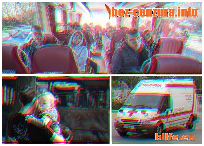 THE DAILY – WIRE:ОЗВЕРИЛИ МИГРАНТИ БИХА С КОЛАНИ ГЕРМАНЦИ В АВТОБУС, НЕ ПОЖАЛИХА И БЕБЕ