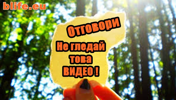Отговори Стефан Пройнов