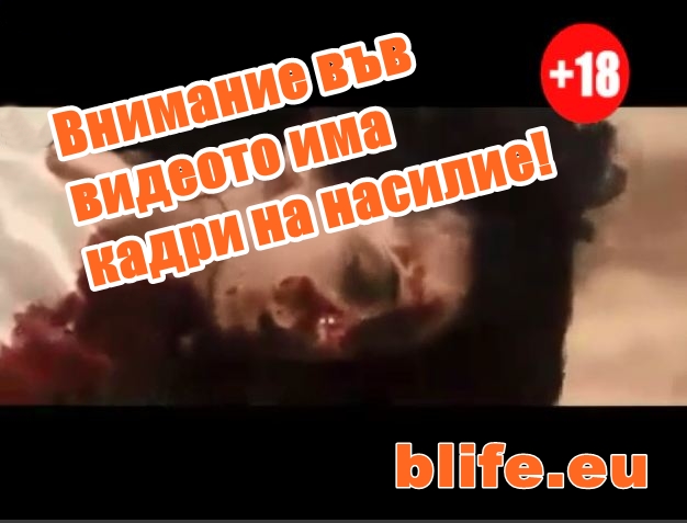 Жестокостта на съжителстването и камъкът на отхвърлянето +ВИДЕО +18