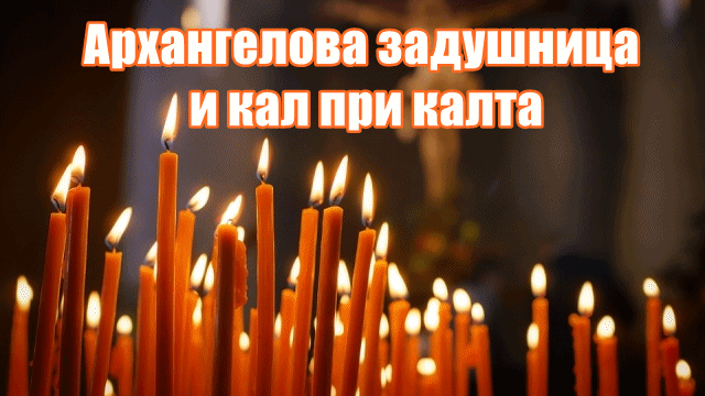 Архангелова задушница и кал при калта