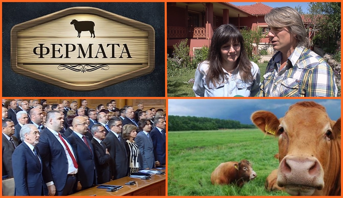 За Фермата и депутатите