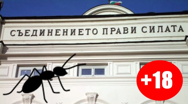 За силата на малките! Корективът не винаги е мерило!