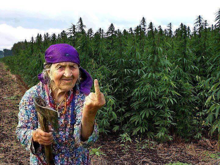 Баби с брадви ще бранят нивите на внуците си!