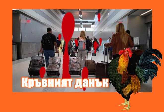 Кръвният данък е 12% -17%