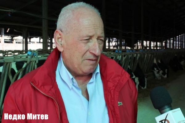 Соматични ракови клетки в млените продукти
