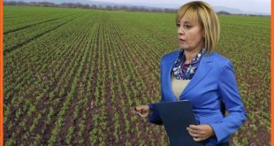 Мая Манолова! В агросектора ври от проблеми!