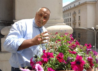 Пролет пукна, Бойко не!
